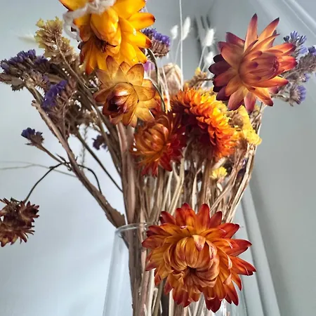 アパート Proche Centre