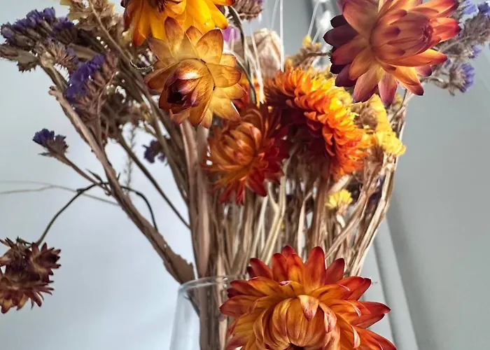 アパート Proche Centre